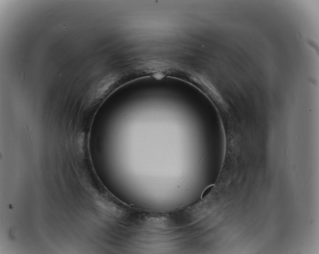 X0000096390066200801311330