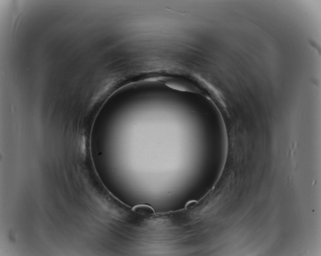 X0000096390067200801311330