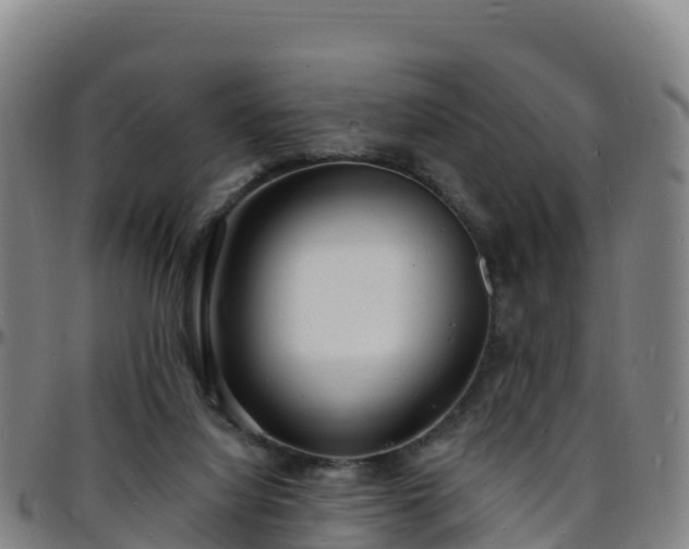 X0000096390068200801311330