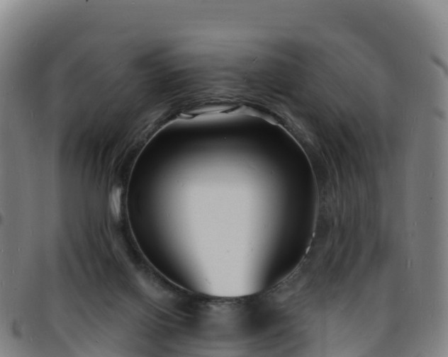 X0000096390070200801311330