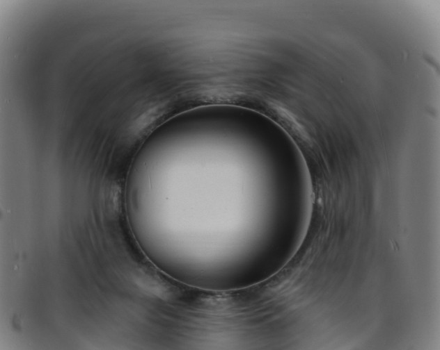 X0000096390071200801311330