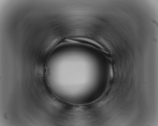 X0000096390072200801311330