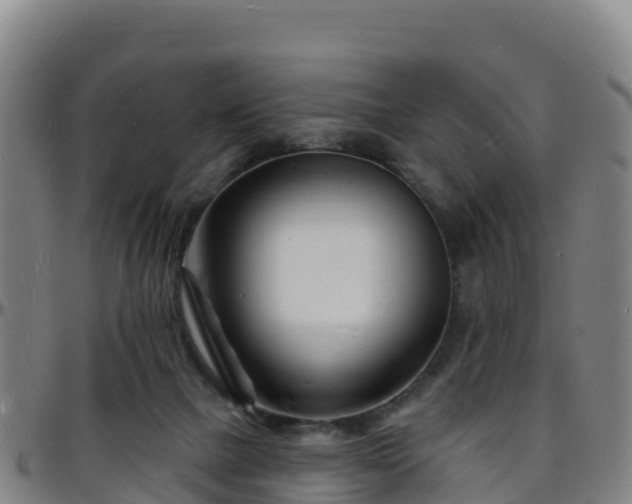 X0000096390073200801311330