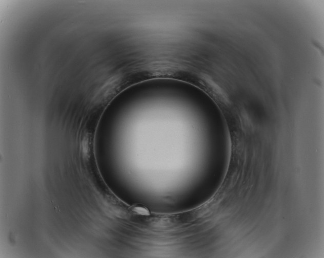 X0000096390074200801311330