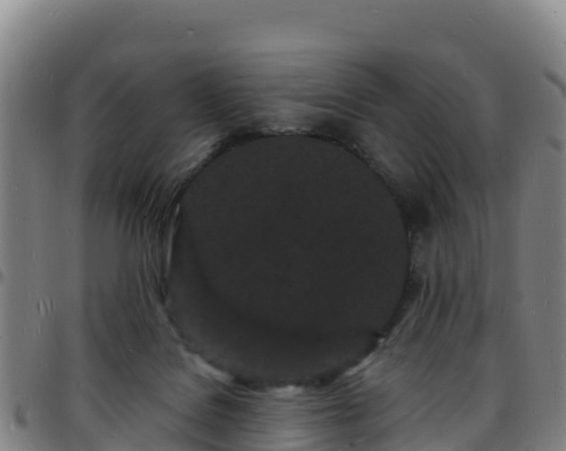 X0000096390076200801311330