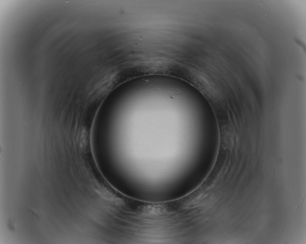 X0000096390077200801311330