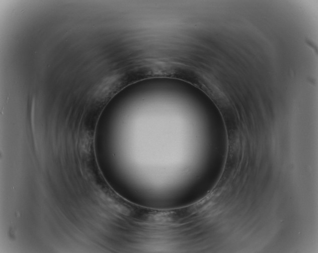 X0000096390078200801311330