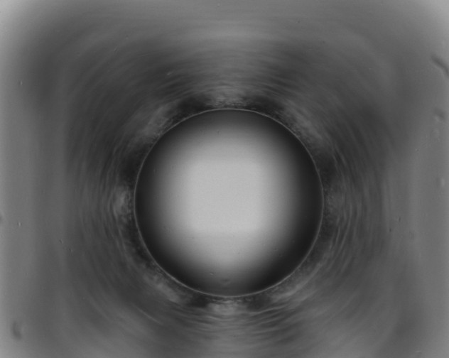 X0000096390079200801311330