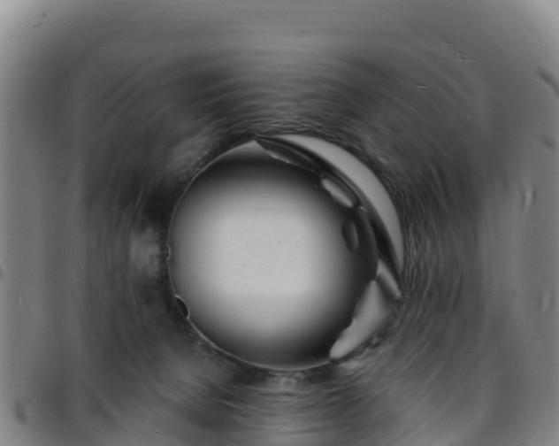 X0000096390080200801311330