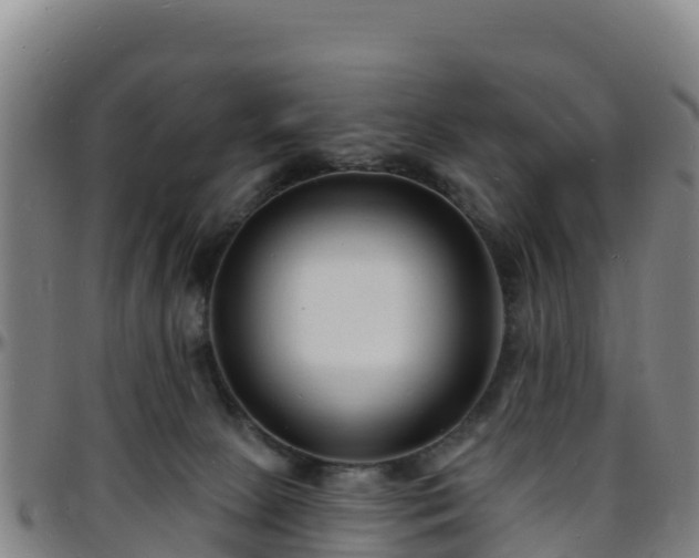X0000096390081200801311330