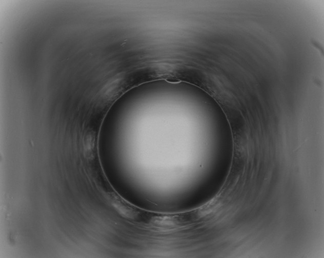 X0000096390082200801311330