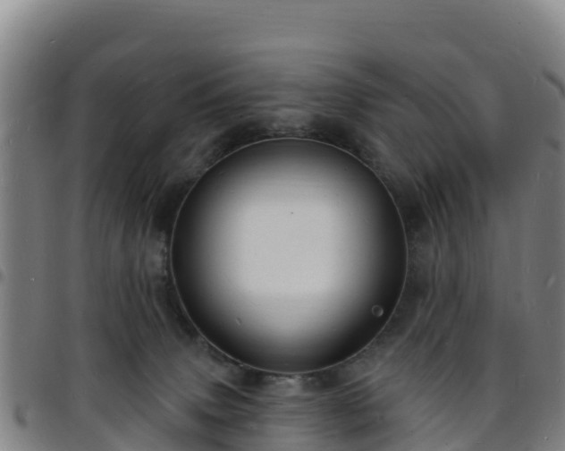 X0000096390083200801311330