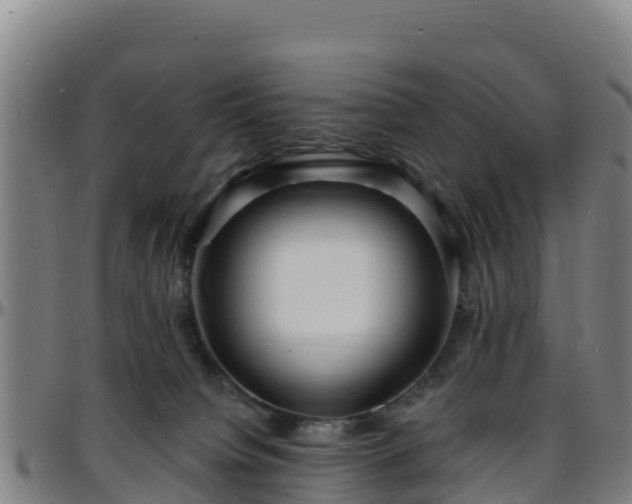 X0000096390084200801311330