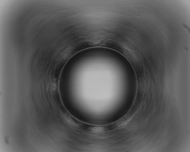 X0000096390085200801311330