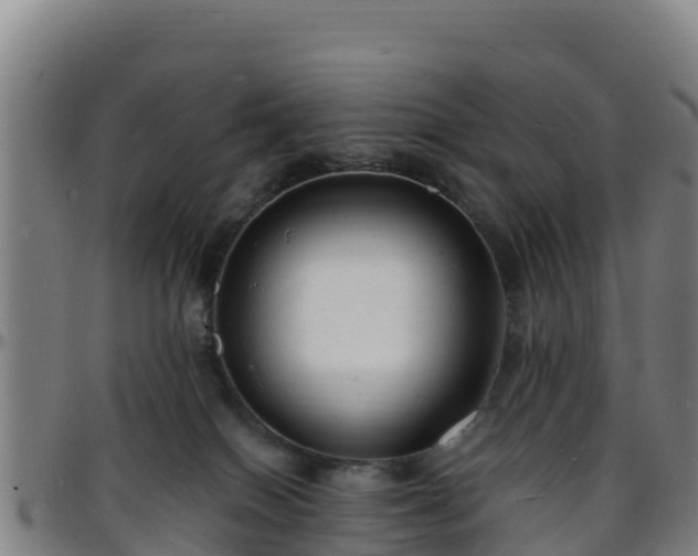 X0000096390086200801311330