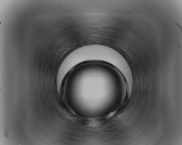 X0000096390088200801311330