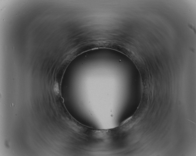 X0000096390089200801311330
