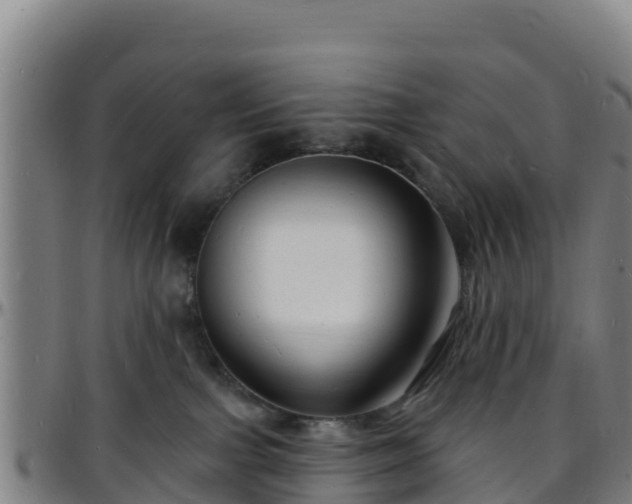 X0000096390091200801311330