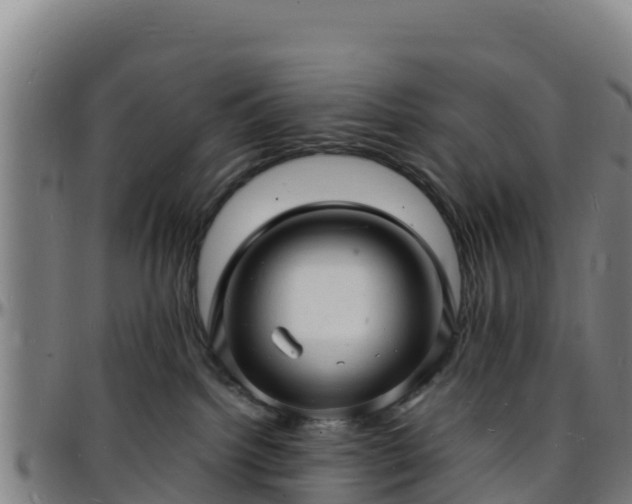 X0000096390092200801311330