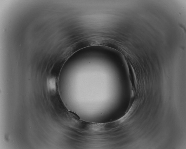 X0000096390094200801311330