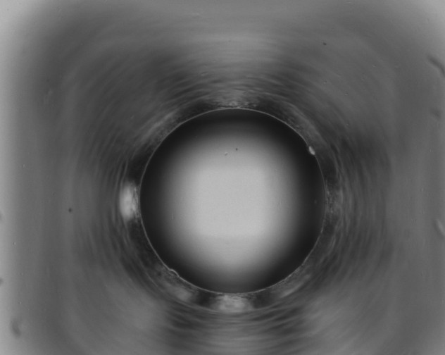 X0000096390095200801311330