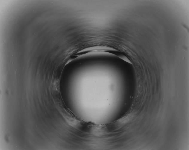 X0000096390096200801311330
