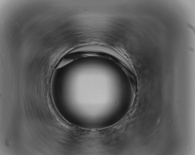 X0000096390097200801311329