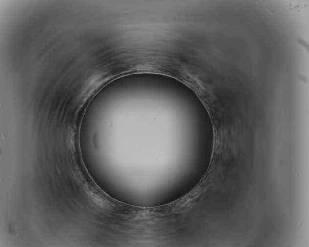 X0000096390098200801311329
