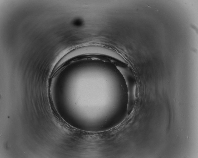 X0000096390100200801311329
