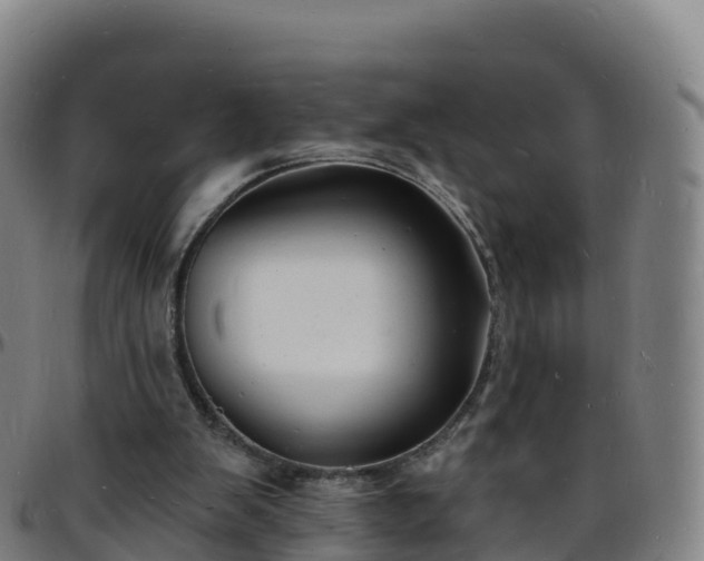 X0000096390103200801311329