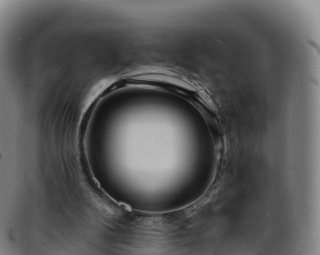 X0000096390104200801311329