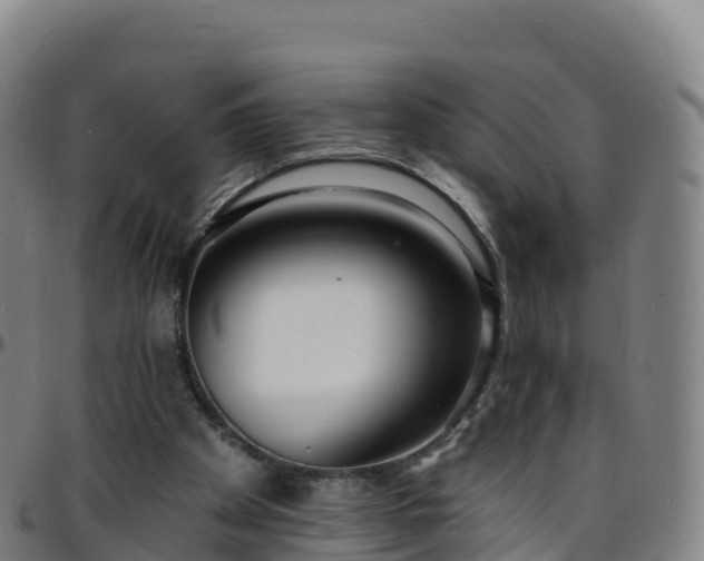 X0000096390105200801311329