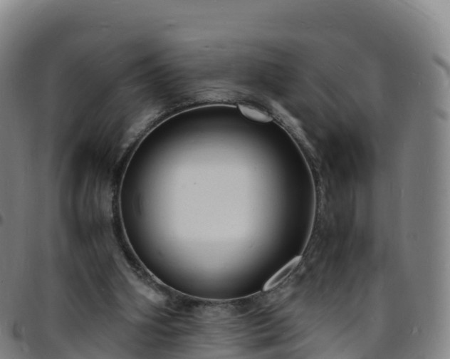 X0000096390106200801311329