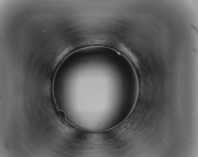 X0000096390107200801311329