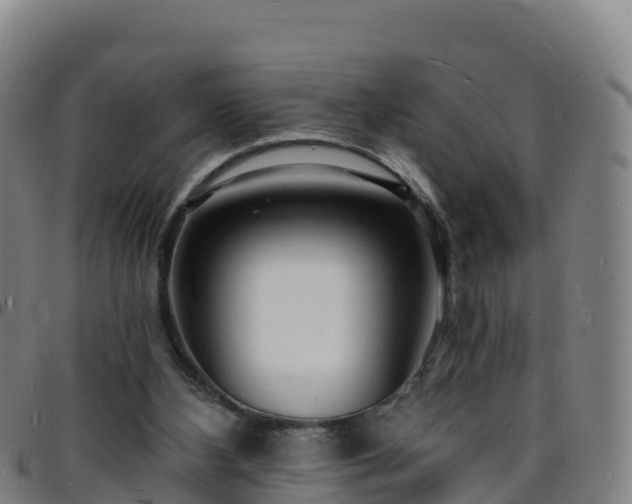 X0000096390108200801311329