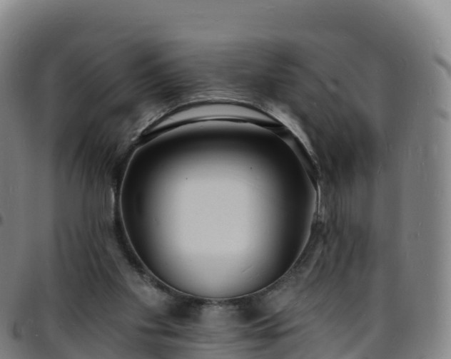 X0000096390109200801311329
