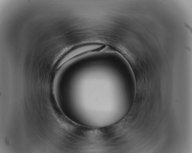 X0000096390112200801311329