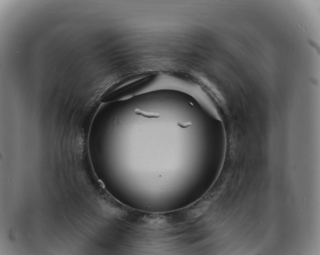 X0000096390113200801311329