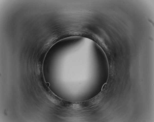 X0000096390114200801311329