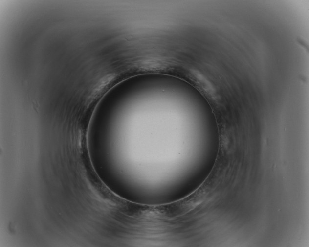 X0000096390115200801311329