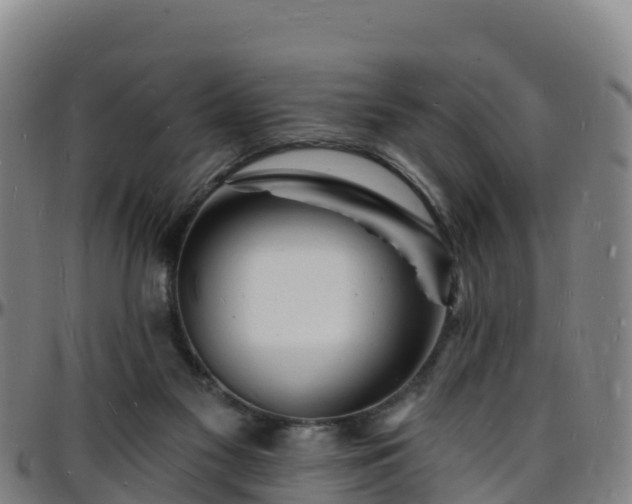 X0000096390117200801311329