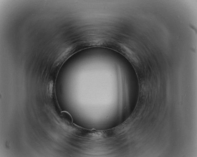 X0000096390118200801311329
