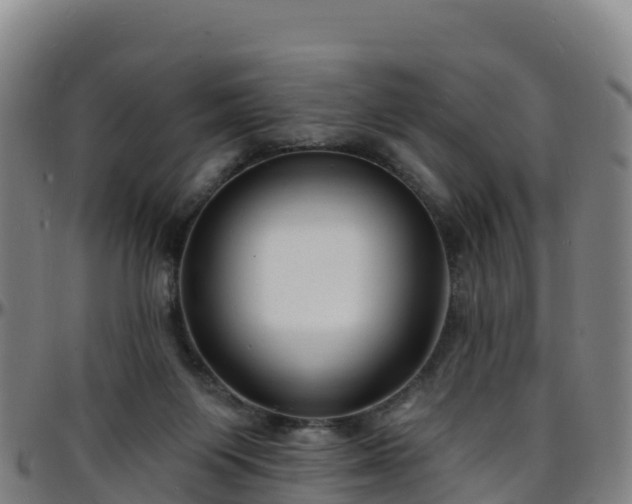 X0000096390119200801311329