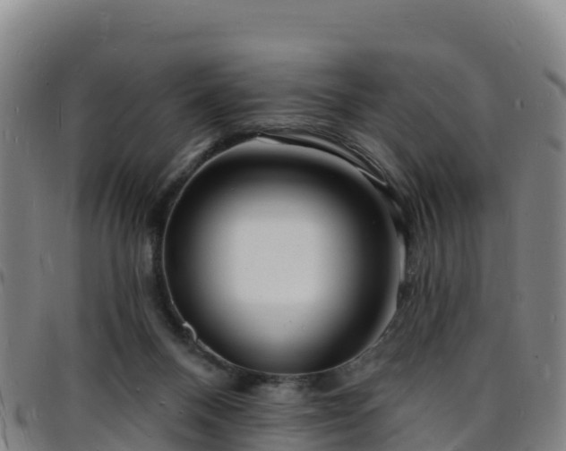 X0000096390120200801311329