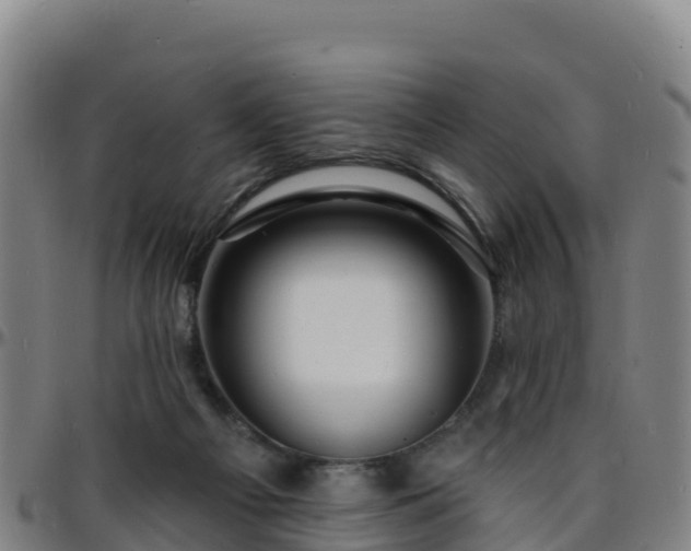 X0000096390121200801311329