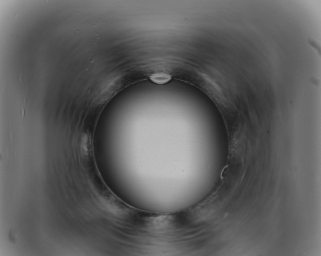 X0000096390122200801311329