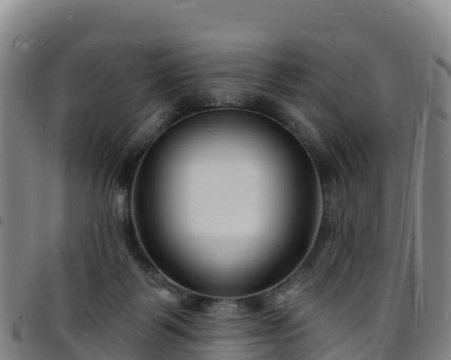 X0000096390123200801311329