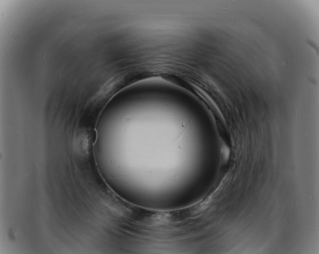 X0000096390124200801311329