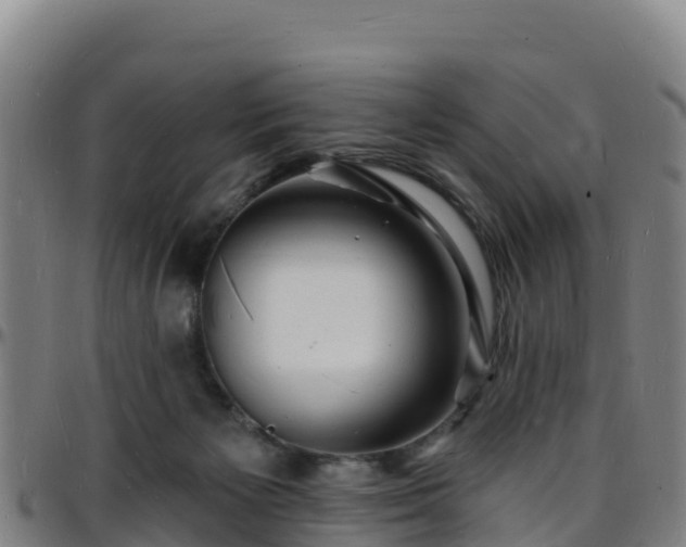X0000096390125200801311329