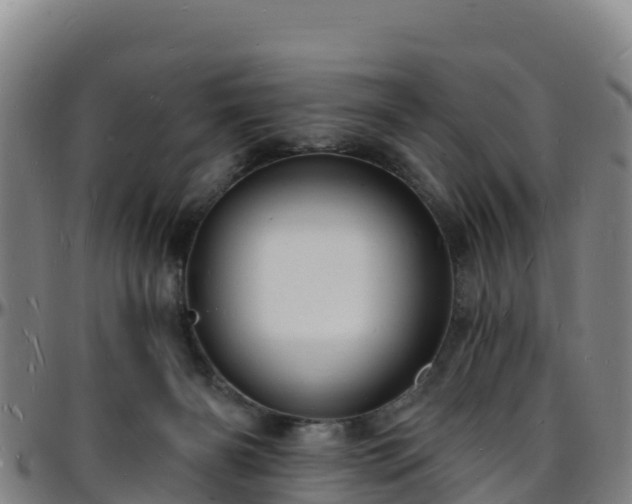 X0000096390126200801311329